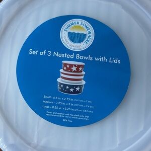 Patriotic Nested Bowls with Lids